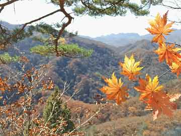 10月央行买断式逆回购加量续作，释放中期流动性原因几何？