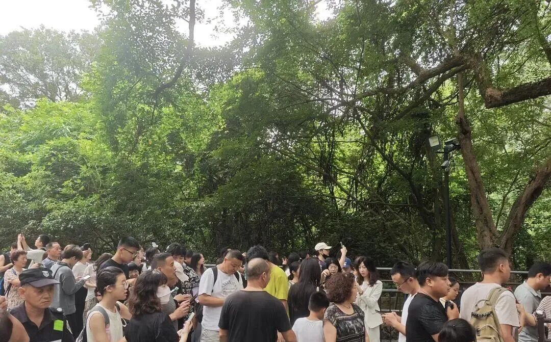 国庆首日杭州西湖景区超热闹，灵隐专线通行缓慢