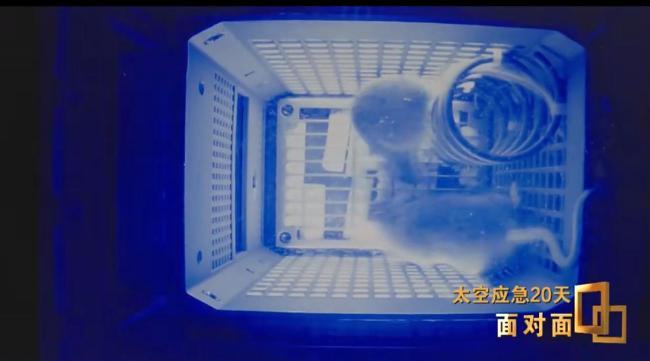 中国人太空存粮多得超乎想象 揭秘硬核实力