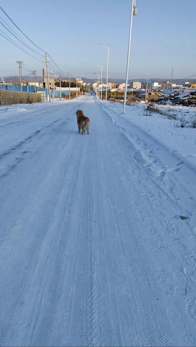 呼伦贝尔每年都有-40℃ 阳台当冰箱 极寒天气下的生活智慧