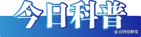 苏超冠军已诞生,这些“奖励”是谣言——今日辟谣(2025年11月4日)