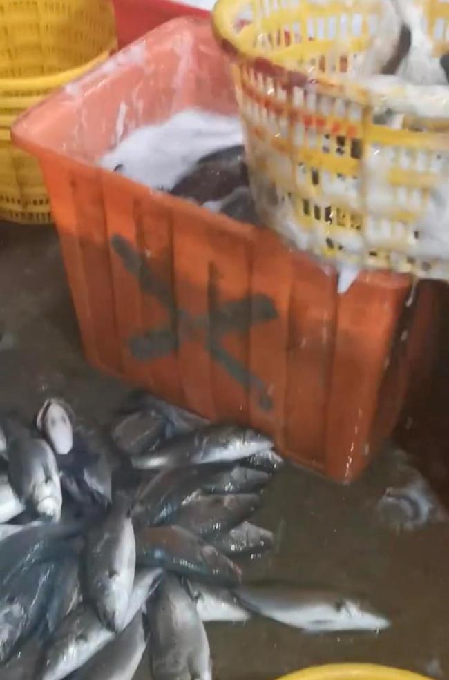 水产市场“麻醉鱼”调查 丁香酚使用引争议