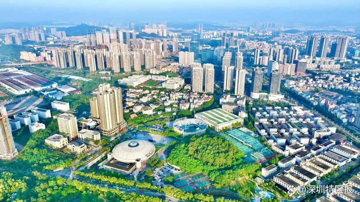 十五运坪山赛区_带你打卡十五运场馆_艺术体操赛事体验