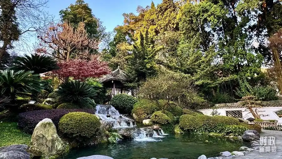 中法元首会晤 都江堰 中国智慧 中法全面战略伙伴关系_中法元首外交再写佳话
