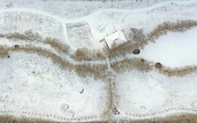 今年是罕见的“九月早立冬” 冬来春早有盼头