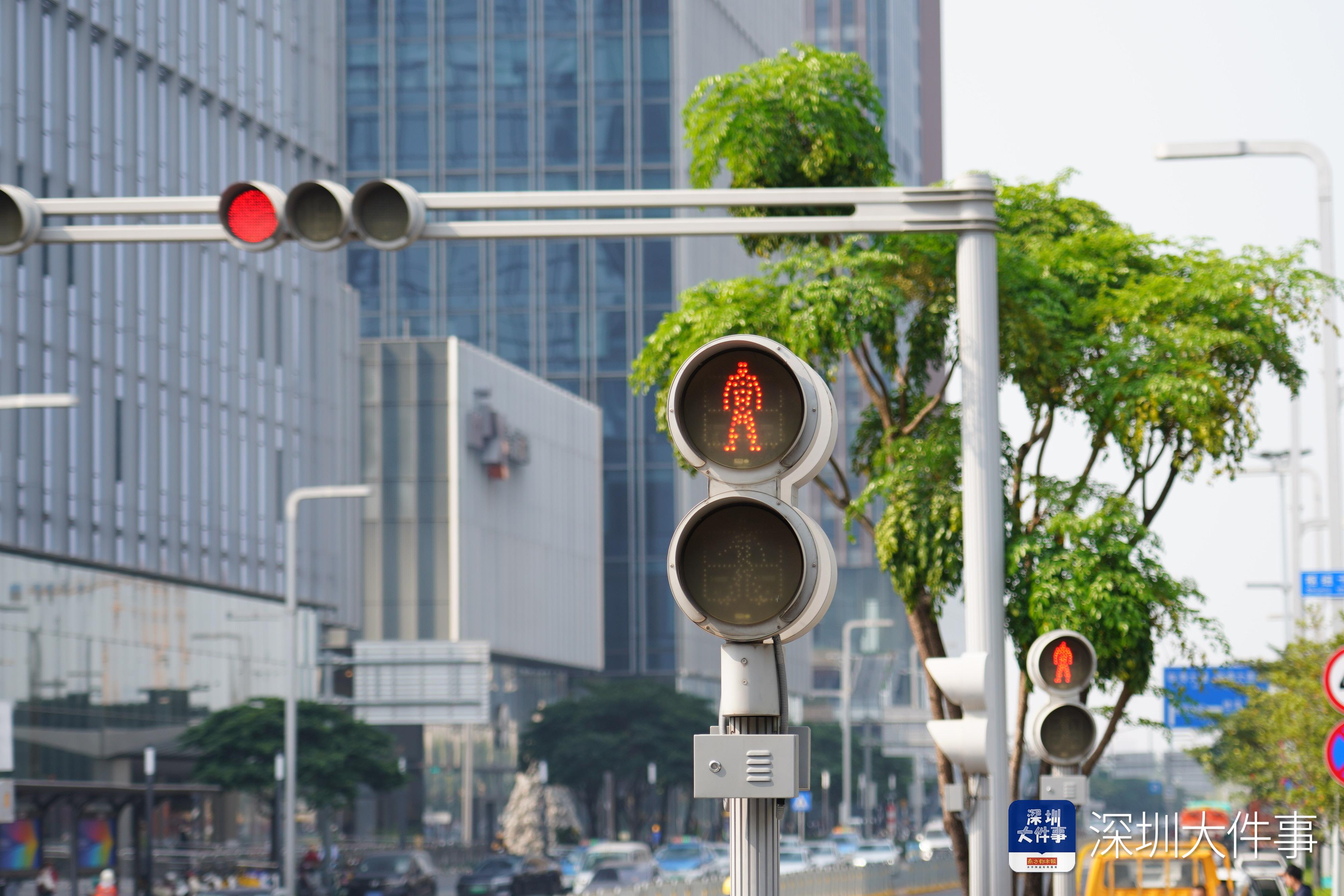 全国第十二届残疾人运动会暨第九届特殊奥林匹克运动会马拉松比赛_2025年深圳马拉松赛_2025深圳国际马拉松报名