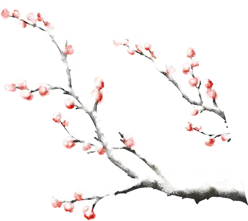 大雪节气习俗_大雪节气三候_大雪节气为啥要喝红薯粥