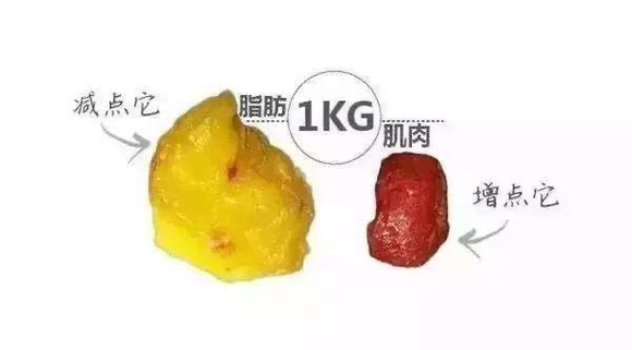 产后减小腹_产后小腹赘肉怎么减_产后恢复肚子的好方法