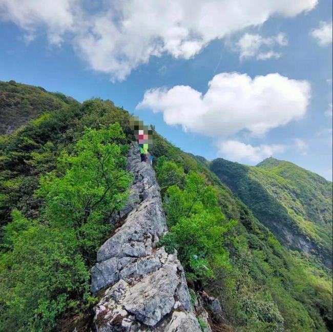 警方回应男子看手机坠崖 事件仍在核实中