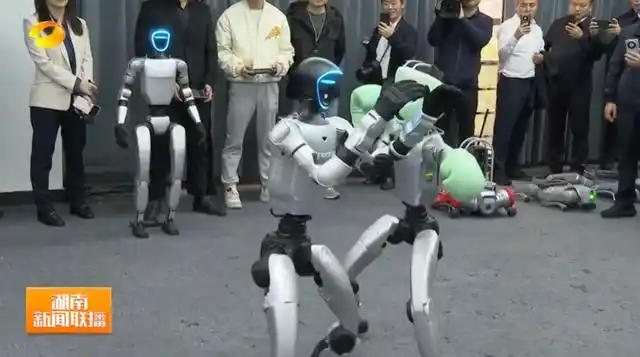 湖南浙江两省省长一同观看机器人表演_浙江省人工智能产业发展报告_湖南省省长毛伟明浙江人工智能考察