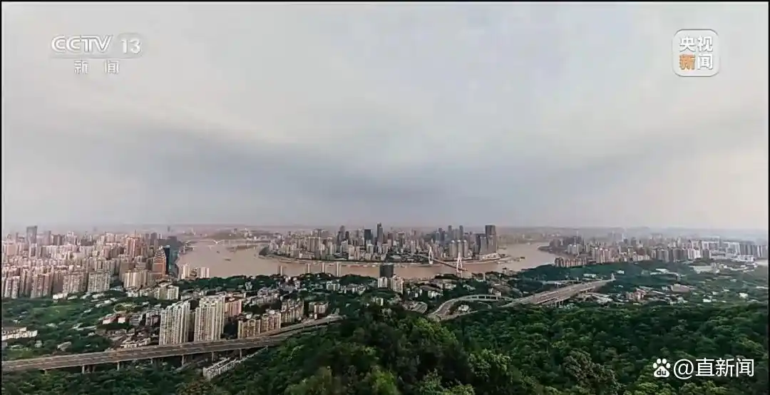 沈伯洋 台独顽固分子立案侦查_重庆警方收到大量举报沈伯洋线索_沈伯洋 黑熊学院台独基地