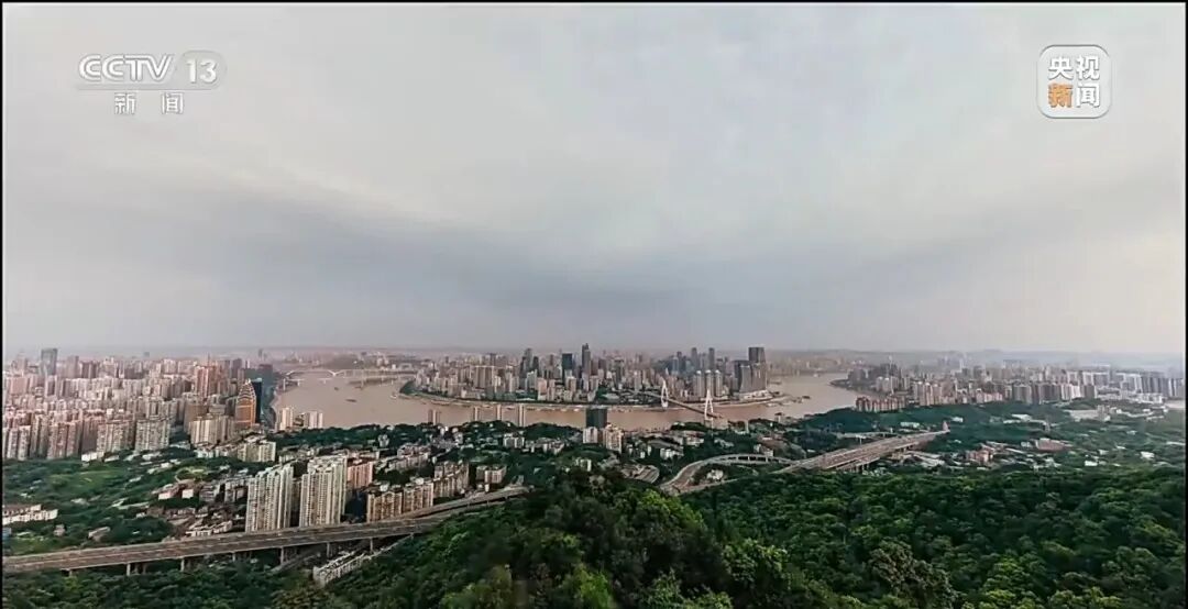 重庆警方收到大量举报沈伯洋线索_沈伯洋 台独顽固分子 沈伯洋 黑熊学院 分裂国家罪