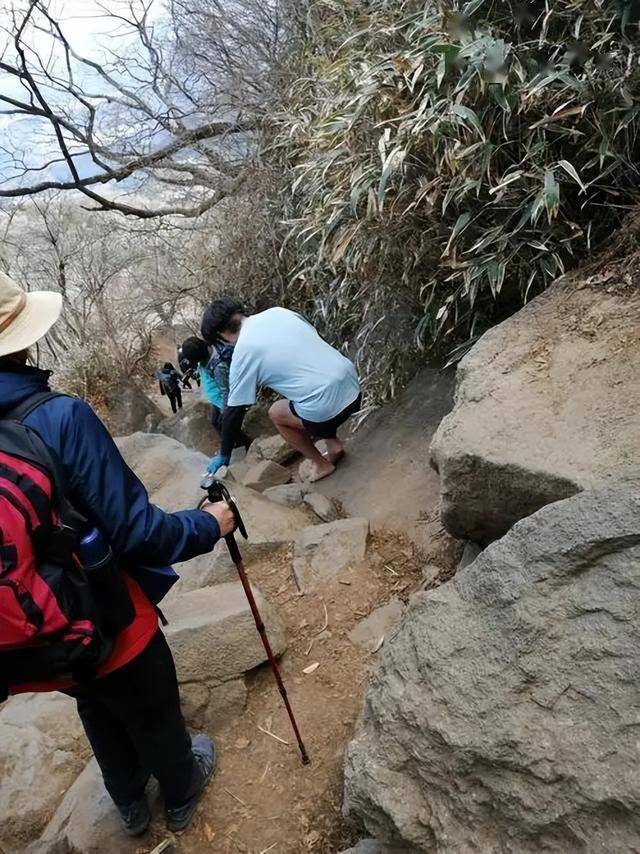 男子疑玩手机坠崖 事后发文福大命大 山神眷顾奇迹生还