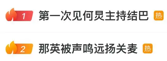 那英回应质疑票数：这个岁数有啥说啥_声鸣远扬那英关麦 何炅解释票数差异 那英为何炅安慰发言