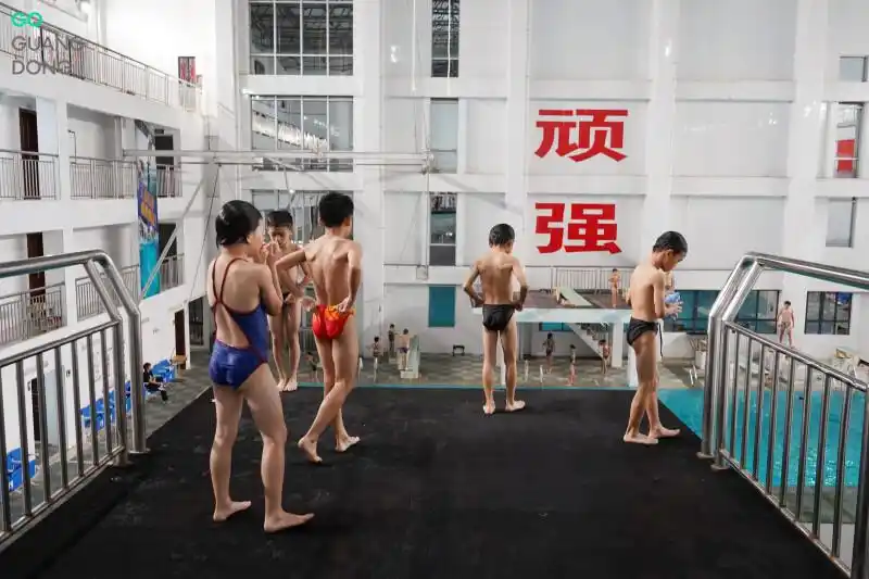 广东跳水强省_湛江市跳水运动学校_跳水“冠军摇篮”为何是湛江？