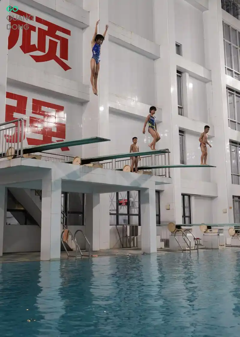 跳水“冠军摇篮”为何是湛江？_广东跳水强省_湛江市跳水运动学校