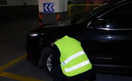 绿灯不走 违反交通规则 交通安全知识_开车请注意！绿灯不走也违法