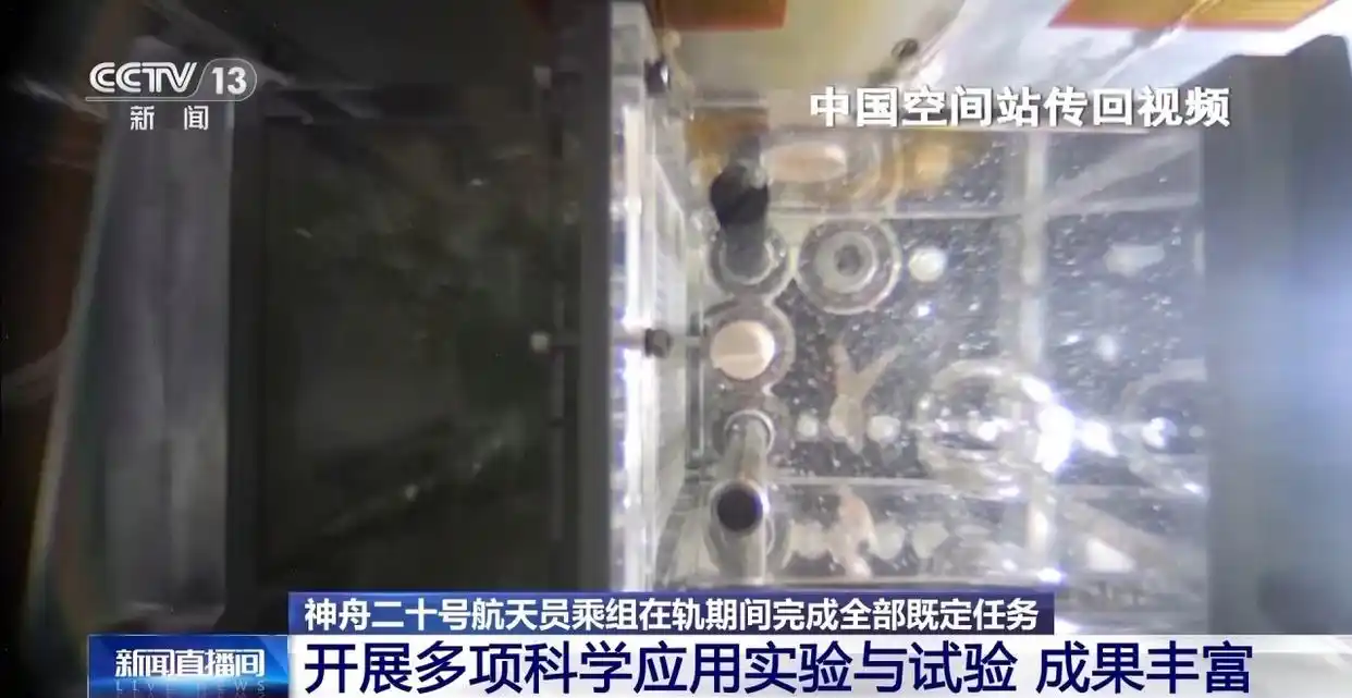 空间生命科学微重力实验_盘点神二十乘组太空出差成果_神舟二十号航天员乘组任务成果