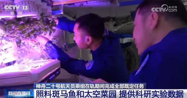 神二十乘组启程回家 飞船留轨试验 完成多项科学任务
