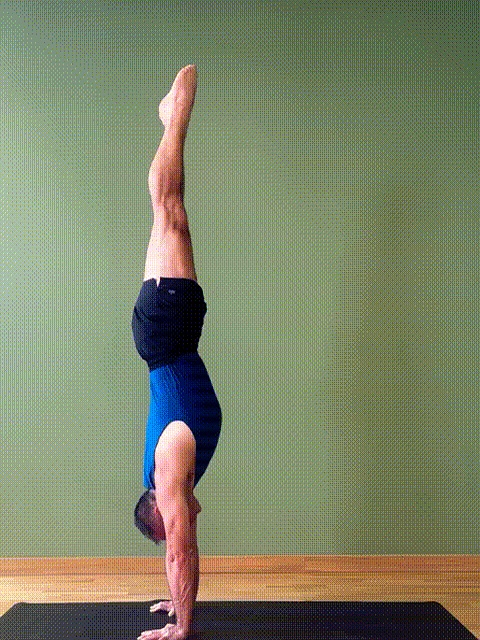 经常倒立有什么好处_几分钟倒立年轻10岁_倒立提升记忆力专注力