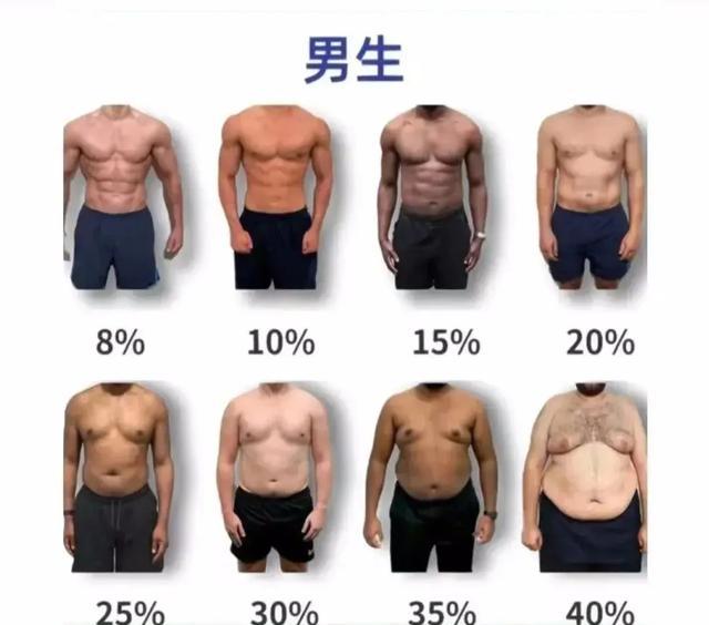 腹肌八分钟视频_硬拉210公斤腹肌_大体重力量举训练