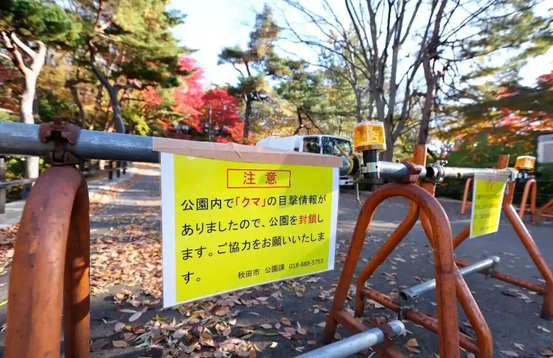 详细阅读:一个中国90后,在闹熊灾的日本当全职猎人 一个中国90后,在闹熊灾的日本当全职猎人