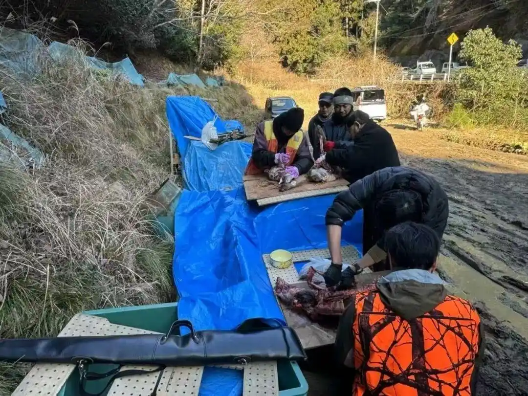 日本熊灾_中国90后在闹熊灾的日本当全职猎人_日本猎人职业