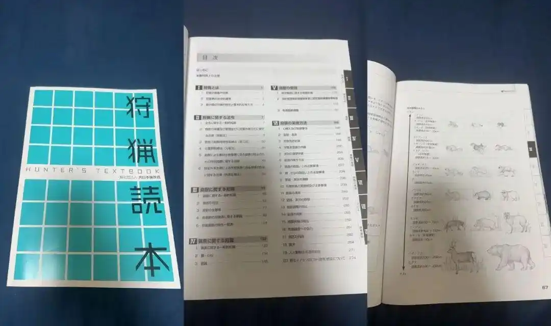 日本猎人职业_日本熊灾_中国90后在闹熊灾的日本当全职猎人