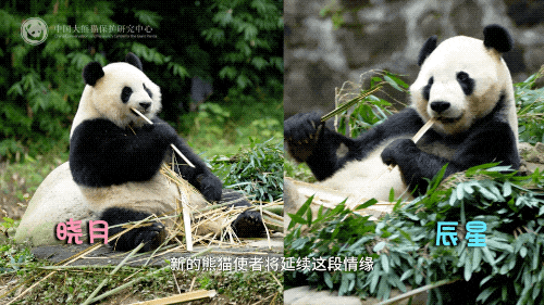 中方：日本没资格当安理会常任理事国_中国常驻联合国代表傅聪大使_日本首相高市早苗涉台言论