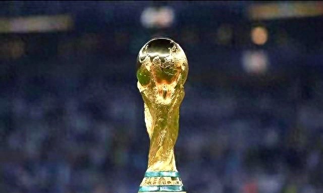 中国足球进世界杯了吗_丹麦苏格兰补时进球_中国男足世预赛