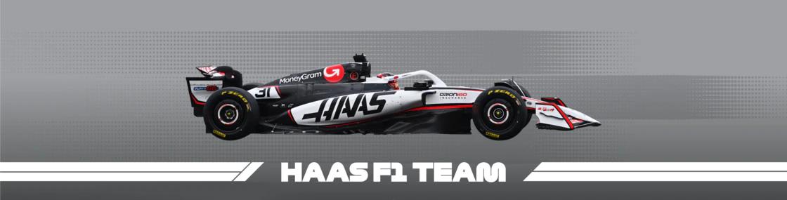 F1比赛规则解读_威廉姆斯f1车队_F1入坑时机选择