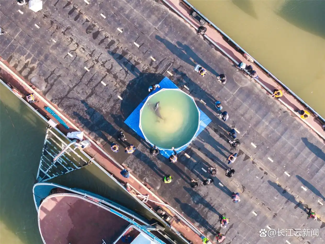 湖北十四五规划经济发展_把发展蓝图变为美好现实_湖北科技创新发展历程