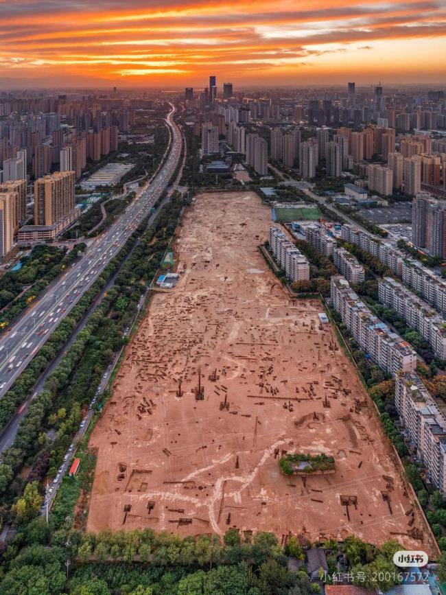 西安连日阴雨市民称古墓变森林 雨水催生草木茂盛 西安连日阴雨市民称古墓变森林 雨水催生草木茂盛