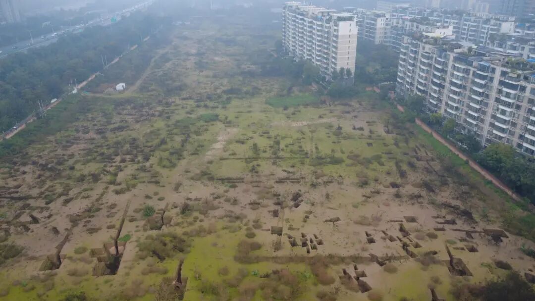 西安连日阴雨后,市民称窗外“古墓变森林”,坑洞里长满植物,相关部门回应