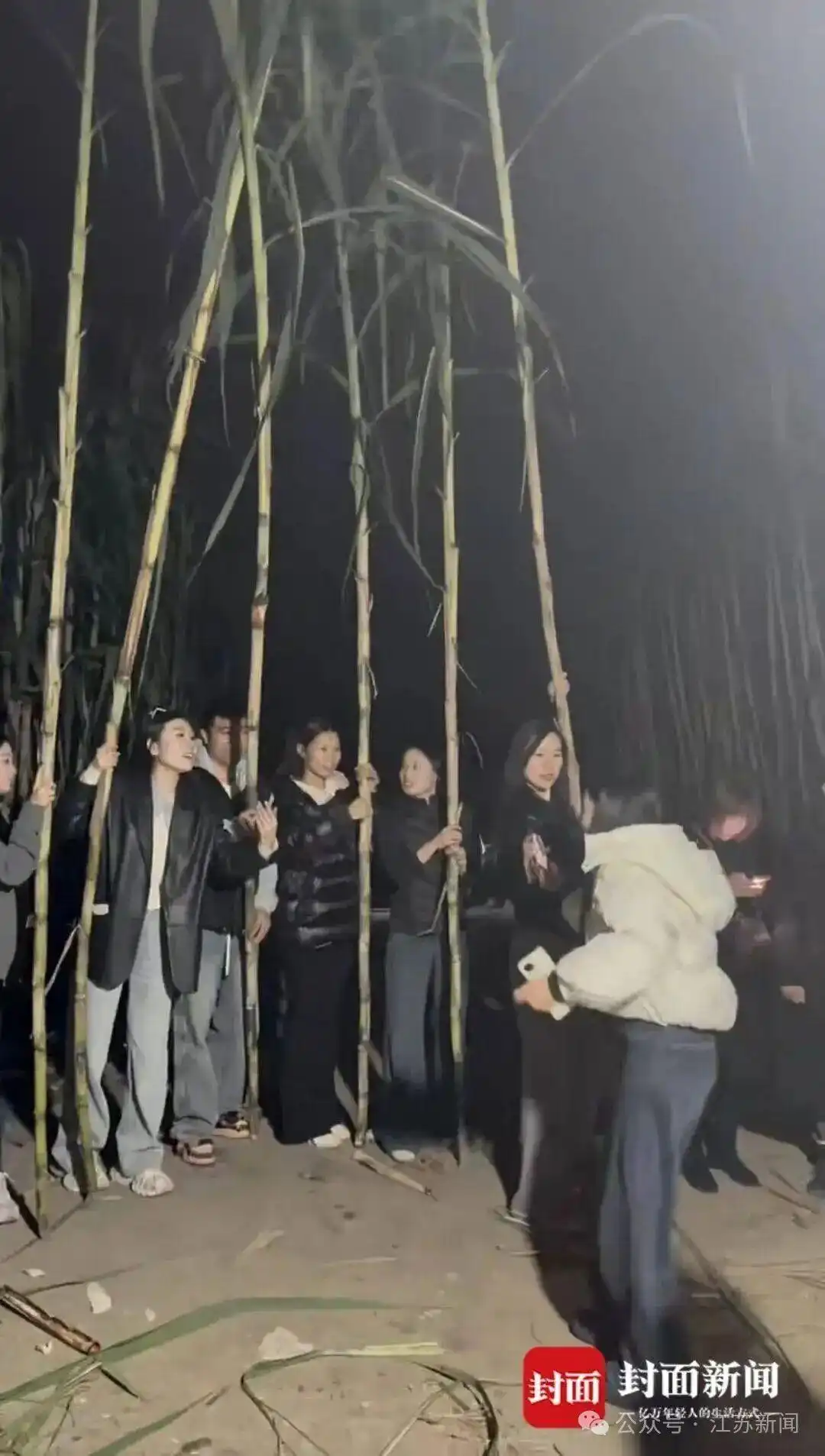 四川眉山真人偷甘蔗体验区_航拍万人涌入地里“偷甘蔗”_眉山自助偷甘蔗活动