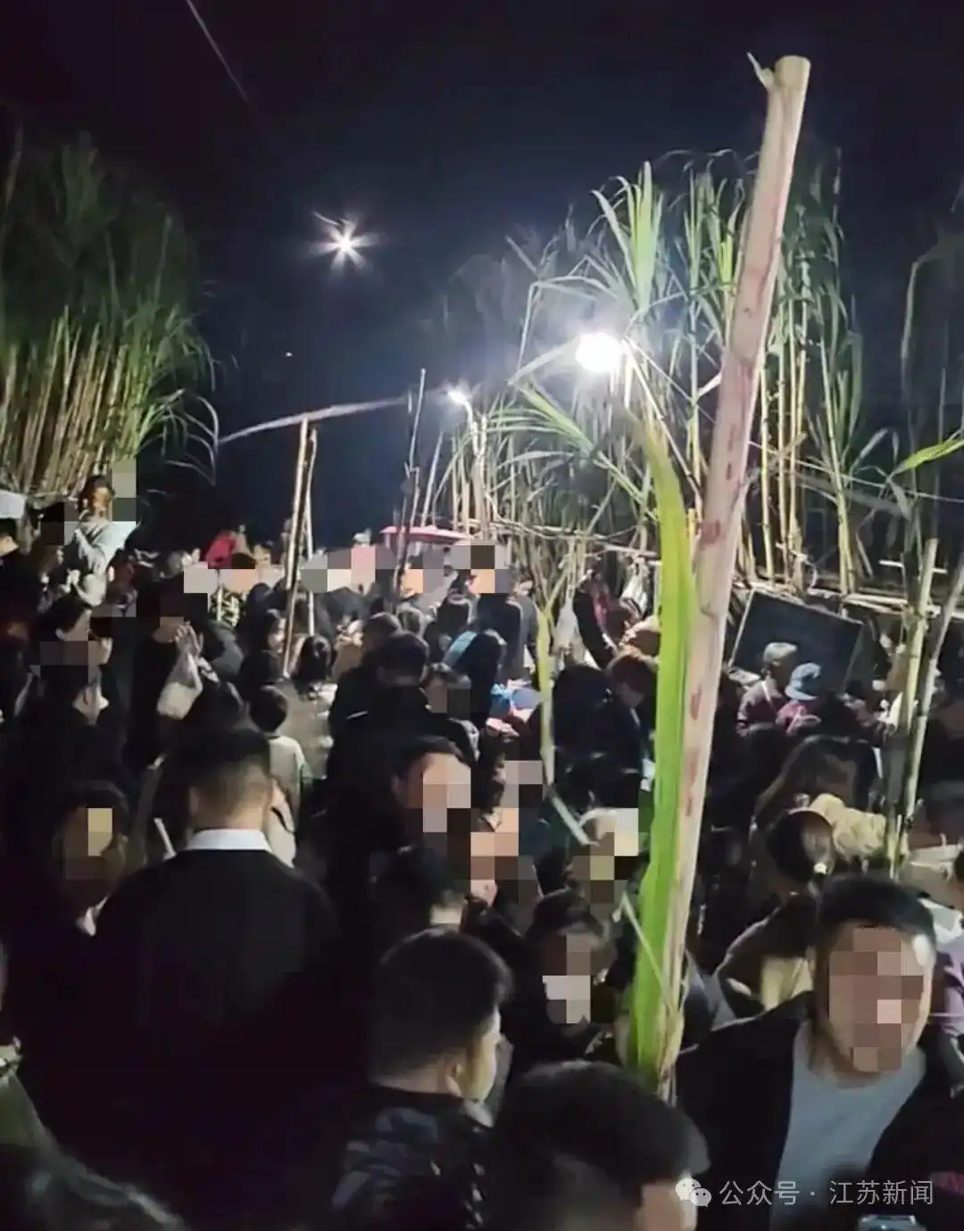 航拍万人涌入地里“偷甘蔗”_眉山自助偷甘蔗活动_四川眉山真人偷甘蔗体验区