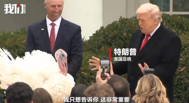 特朗普在白宫宣布特赦火鸡 总统幽默引发笑声