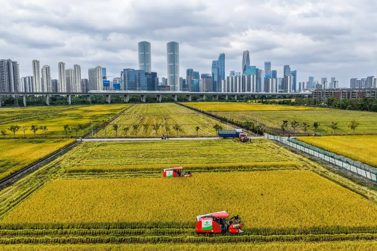 人工智能大模型具身突破_中国经济热词图鉴_中国经济高质量发展