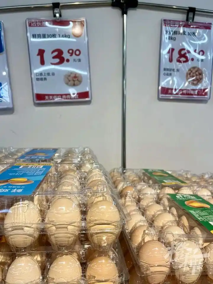 西红柿价格飙升_鸡蛋都快配不上番茄了_鸡蛋配不上番茄