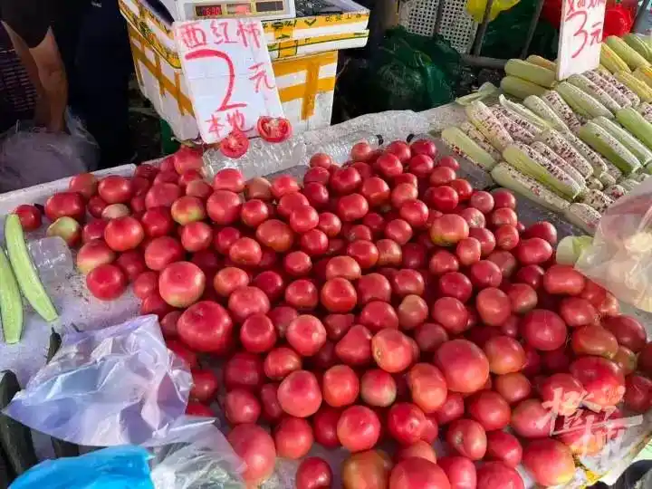 鸡蛋都快配不上番茄了_鸡蛋配不上番茄_西红柿价格飙升