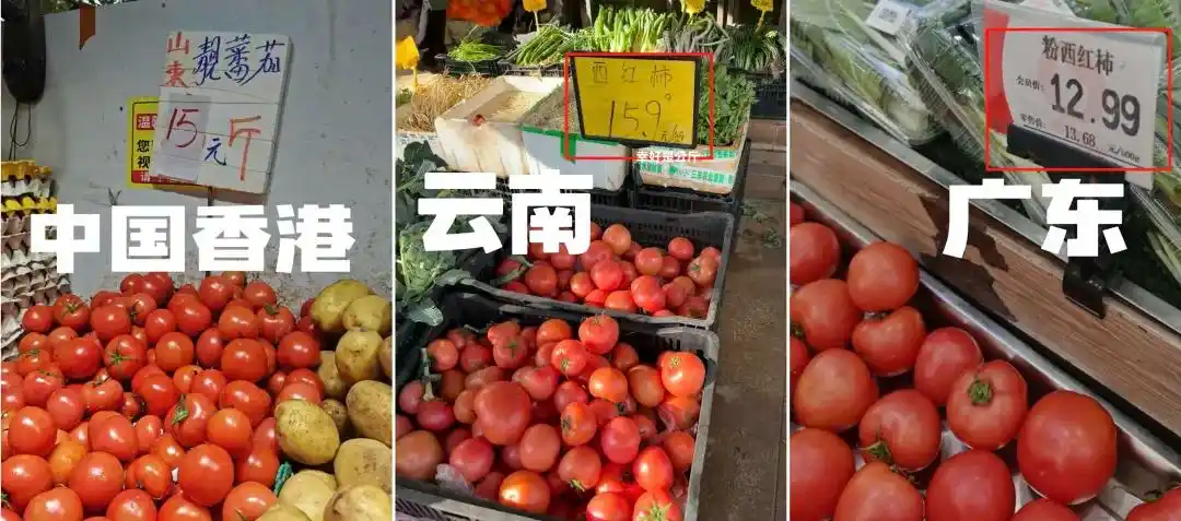 鸡蛋配不上番茄_鸡蛋都快配不上番茄了_西红柿价格飙升