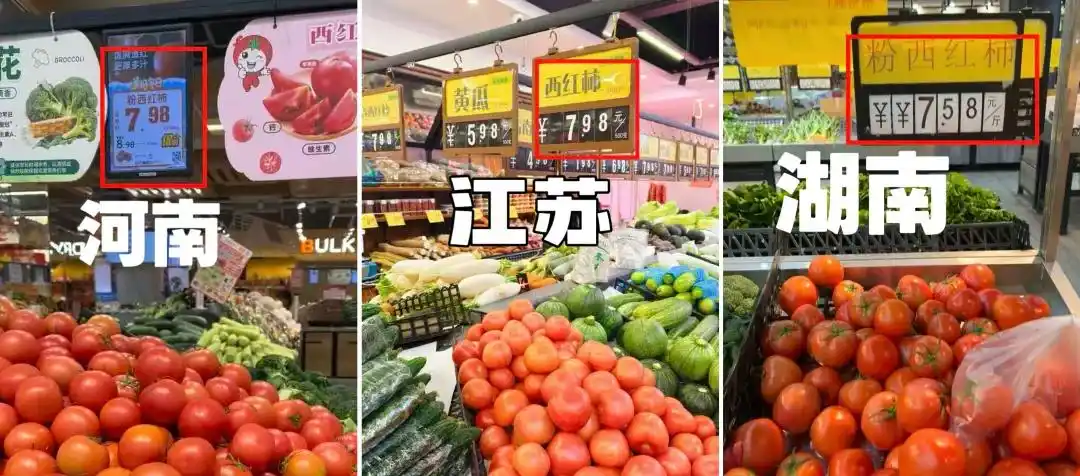 鸡蛋都快配不上番茄了_鸡蛋配不上番茄_西红柿价格飙升