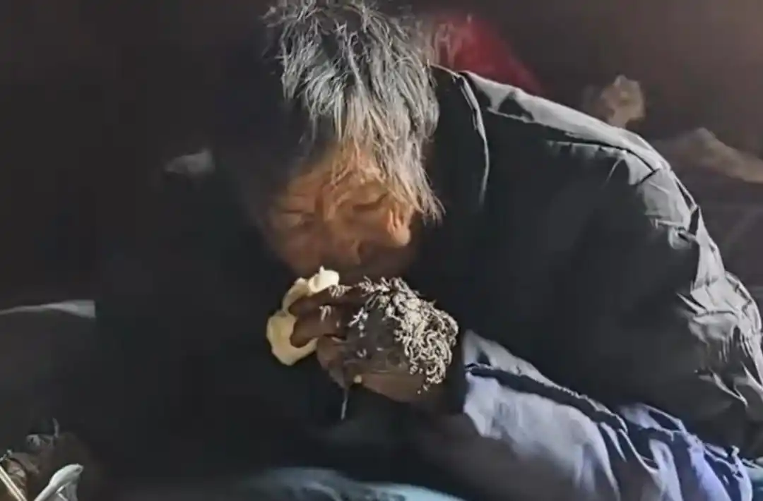 广西昭平山洞老人救助情况_广西昭平80岁老人山洞居住_80岁老人住山洞 抗拒前往福利机构