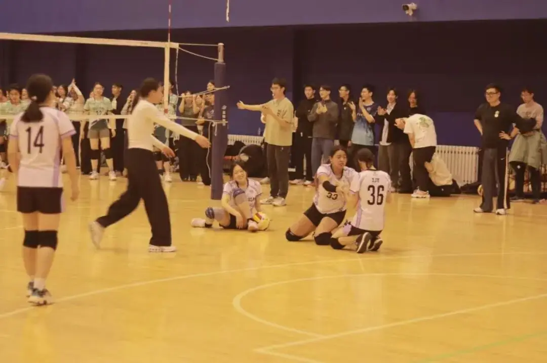 排球训练计划ppt_排球训练计划_排球训练计划表(可打印)