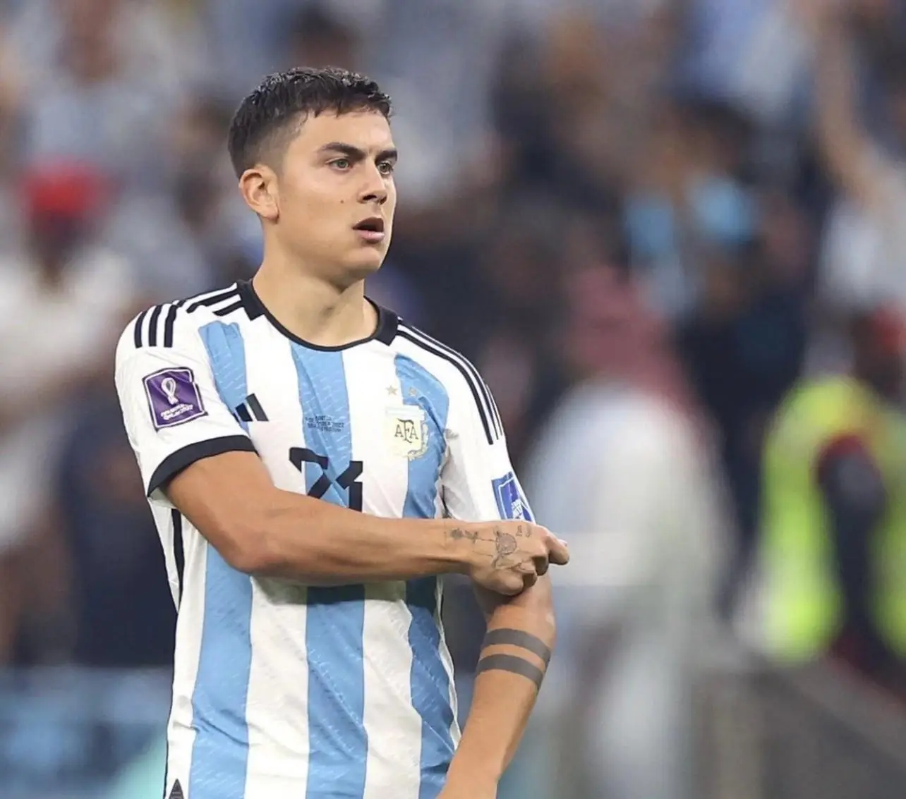 斯卡洛尼锋线选择_阿根廷国家队最新名单号码_阿根廷国家队世界杯名单