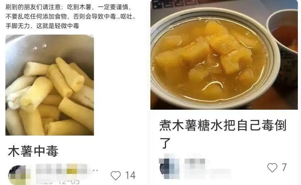 安徽网红老人去世原因 木薯糖水安全食用方法 氢氰酸含量解析_网红老人去世外孙女否认木薯糖水中毒