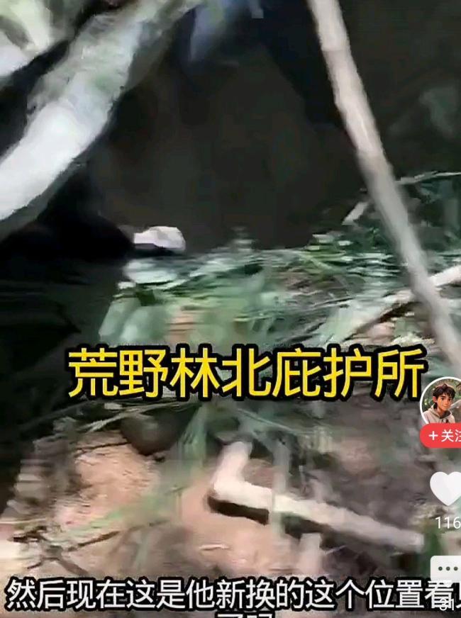 荒野求生林北深夜坦言想退赛 生食危机重重