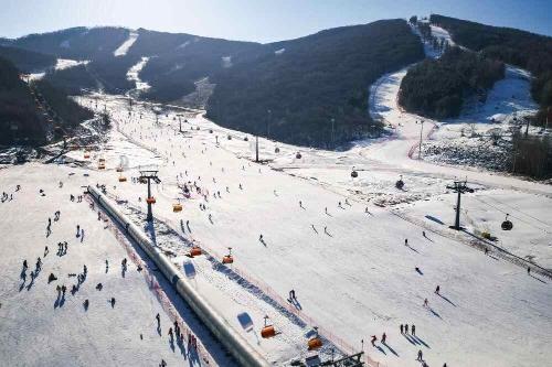 2025都灵冬奥会奖牌榜_中国冰雪运动发展历程_中国亚冬会冰雪成绩