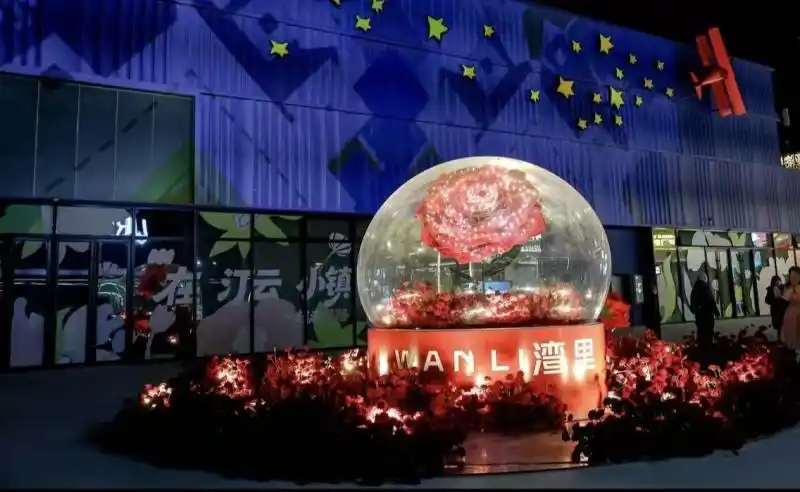 巨型非遗鱼灯巡游_湾里跨年活动_北京湾里非遗鱼灯点亮跨年夜浪漫