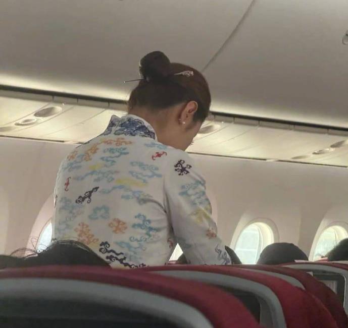 海航空姐戴长发簪引发安全质疑，航司回应不能敷衍了事
